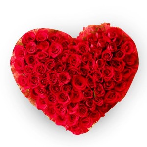 The_Precious_Heart_Valentine’s Day