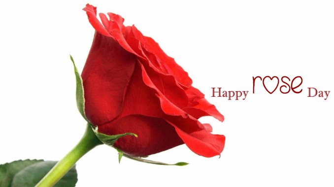 rose-day-featured-image rose-day-featured-image