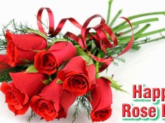 Happy Valentines Day - Rose Day Images Wallpapers