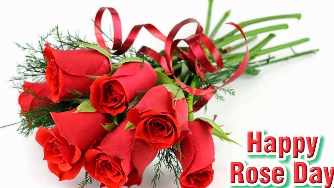Happy Valentines Day - Rose Day Images Wallpapers Happy Valentines Day - Rose Day Images Wallpapers