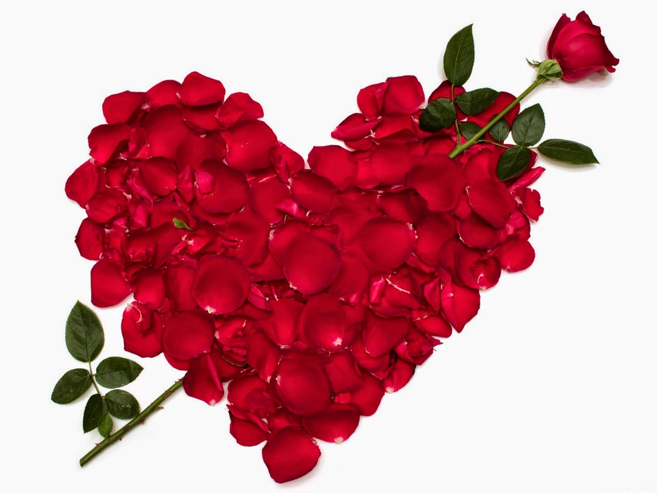 Rose Day WhatsApp Images Free Download