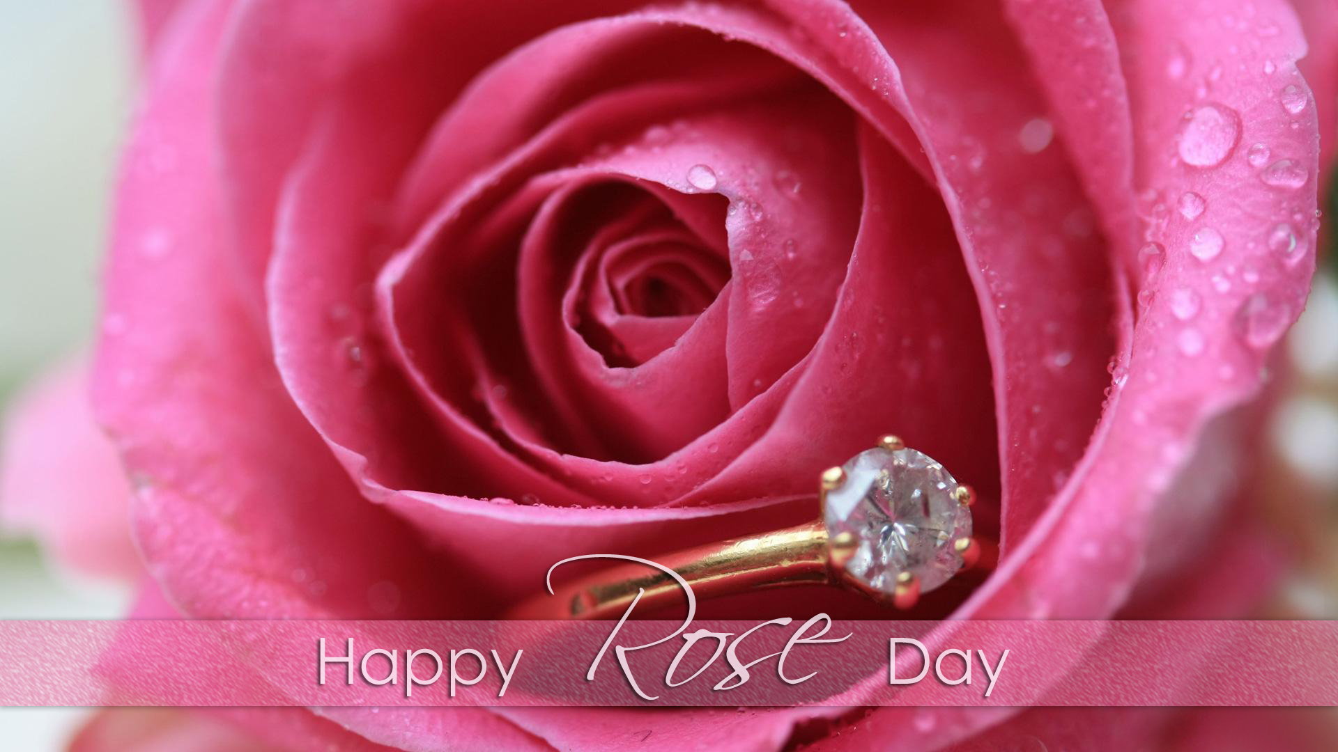 pink-rose-with-happy-rose-day-hd-wallpapers