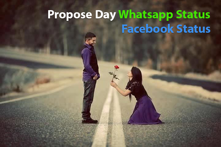propose-day-facebook-status-whatsapp-status